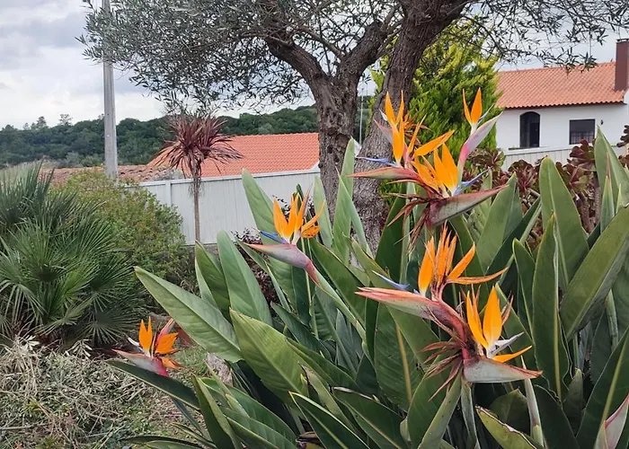 'kairos Casa' Not